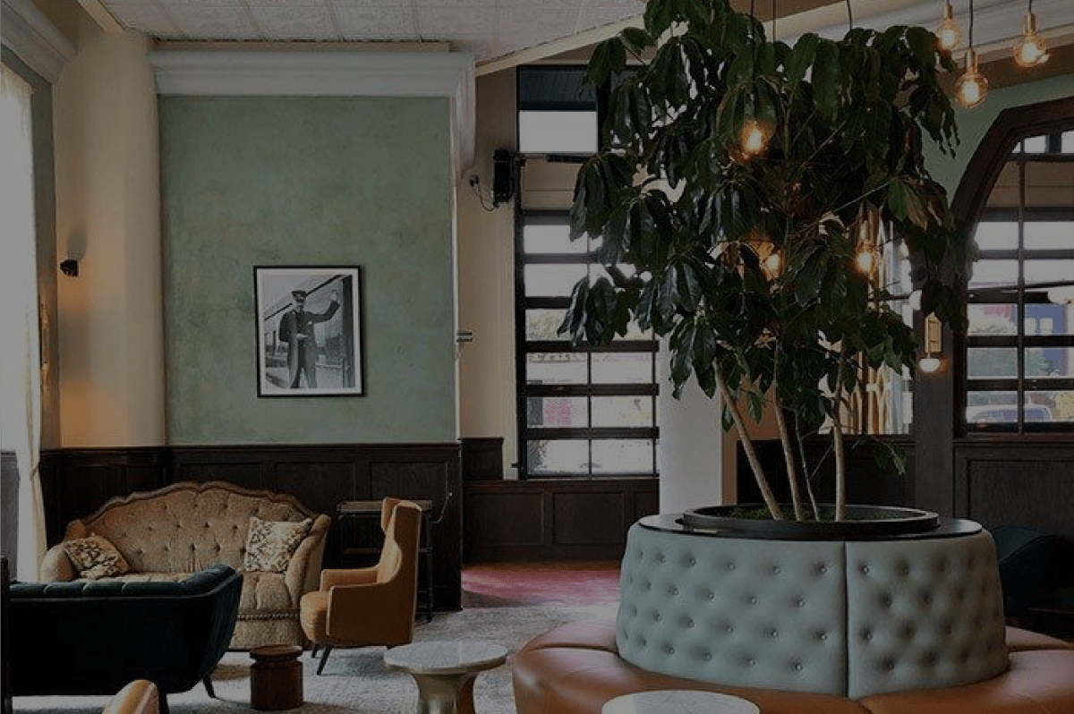 commercial_audio_video_installation_charlotte_restaurant_ambiance