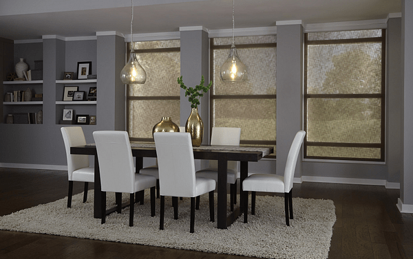 Lutron lighting electronics inside of a Charlotte home